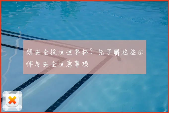 想安全投注世界杯?先了解这些法律与安全注意事项