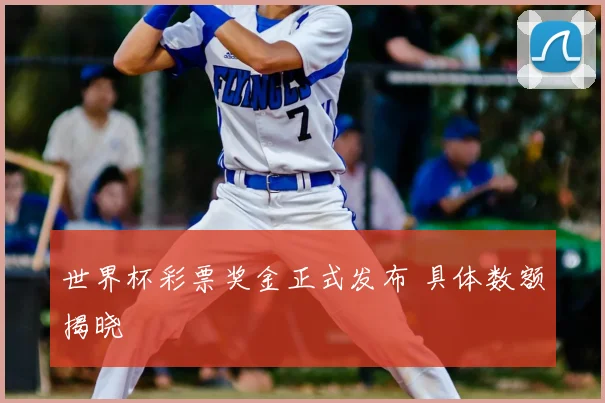 世界杯彩票奖金正式发布 具体数额揭晓
