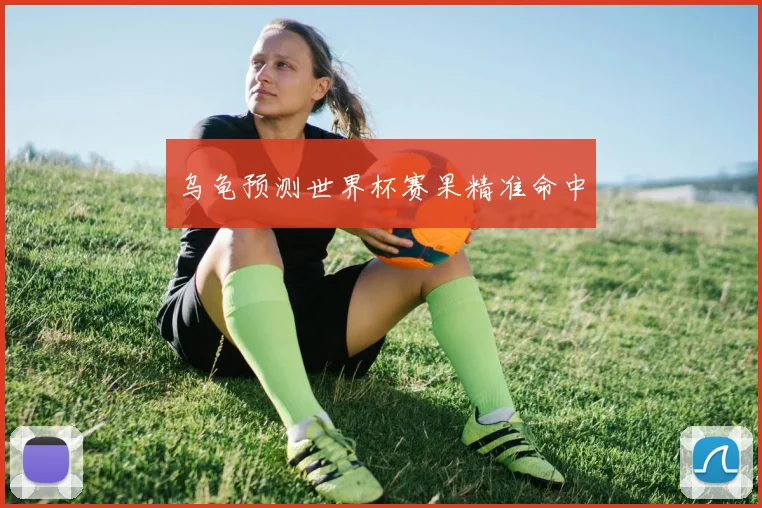 乌龟预测世界杯赛果精准命中