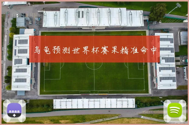 乌龟预测世界杯赛果精准命中