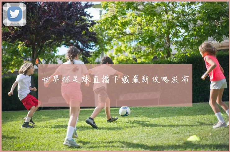 世界杯足球直播下载最新攻略发布