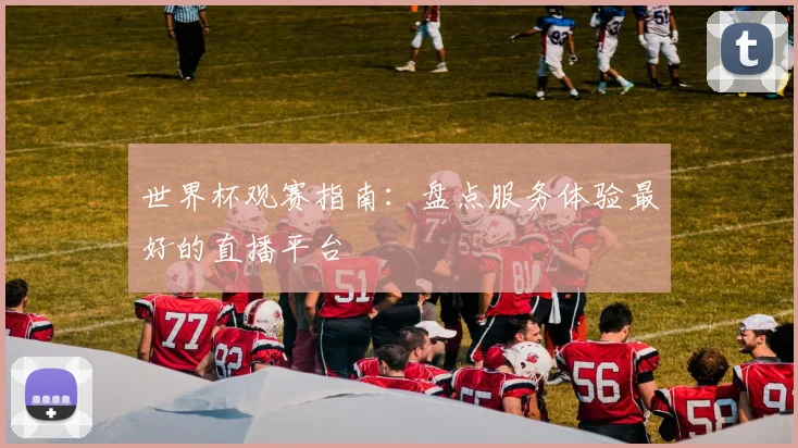 世界杯观赛指南:盘点服务体验最好的直播平台