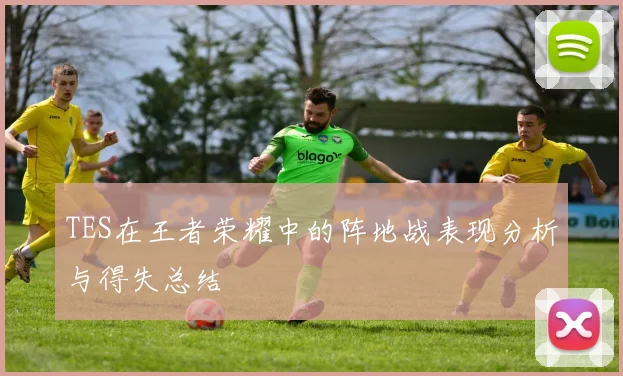 TES在王者荣耀中的阵地战表现分析与得失总结